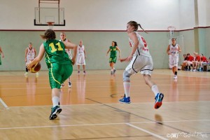 baskets vs wedel